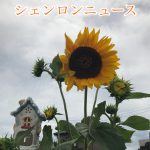 【住宅ローン】シェンロンニュース　おまけ特集号（２）