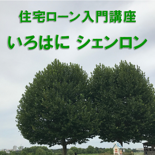 住宅ローン入門講座 いろはにシェンロン ほ どのような返済方法がありますか シェンロン ニュース